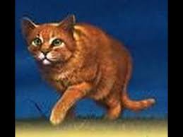 how to draw firestar from warriors