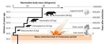 La vida después de la muerte de los dinosaurios