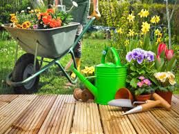 Types Of Garden In Your Home Times Of