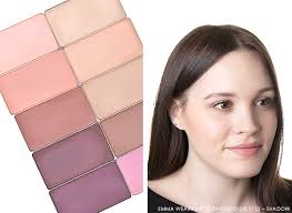 artist face color swatches