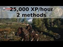 Feb 25, 2018 · my 100% complete save for witcher 3: Endgame Xp Farm The Witcher 3 Wild Hunt General Discussions