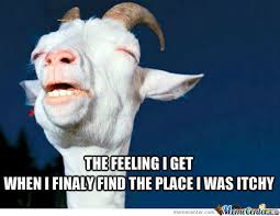 Itchy Goat by bedap - Meme Center via Relatably.com