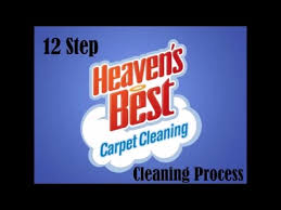 professional carpet cleaning process