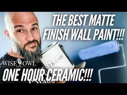 Best Matte Finish Interior Wall Paint