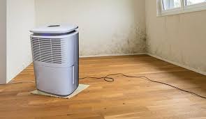 Dehumidification Services In