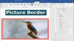 put picture border in microsoft word