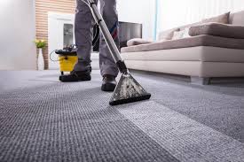 professional carpet cleaning services