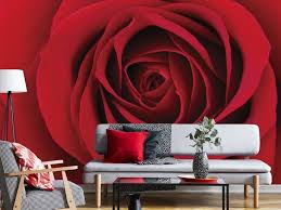 Red Rose Wall Mural Red Flower