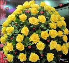9dc76117ace53c9fe1b2f3c37e94eb3e.gif (420×388) | Ramos de rosas hermosas, Ramos de flores amarillas, Rosas amarillas