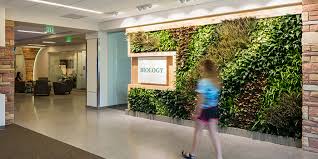 Ultimate Guide To Living Green Walls