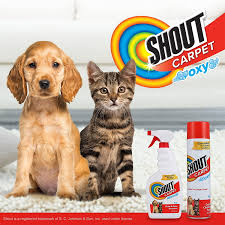 shout carpet aerosol stain and odor