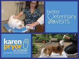 better veterinary visits course now