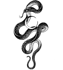 Эскиз рисунок змеи - 86 фото