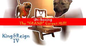 unboxing the grand carpet mill king