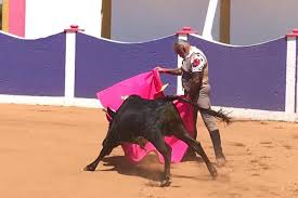 El Dandy tras permitirlo el confinamiento invitó a José Arcila a ensayar el  toreo – TorosenelMundo