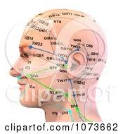 Clipart 3d Male Acupressure Acupuncture Upper Body Chart 2