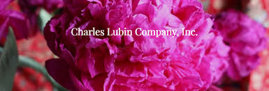charles lubin company inc silk flowers