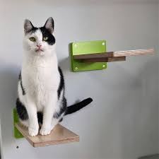 Cat Shelf Cat Step Wall Mounted Cat