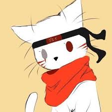 Ninja cat) are able to work with ninja due to their keen senses and unusual flexibility. Image Result For Ninja Cat Ninja Cats Anime Cats