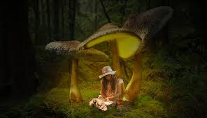 The story of mushroom castle continues where the previous story left off. Book Fantasy Girl Composing Fairytale Dream Mood Photomontage Mushroom Forest Pxfuel