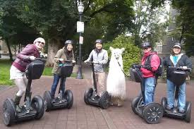 portland two hour guided segway tour 2024