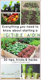 Brilliant Vegetable Garden Tips Tricks