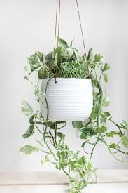 White Ceramic Hanging Planter Pot