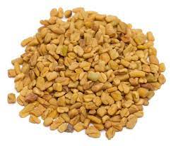 Fenugreek seeds have proteins and nicotinic acid that are vital for hair growth. Organic Fenugreek Seed By Methoda Resources Ltd Organic Fenugreek Seed Id 1154444