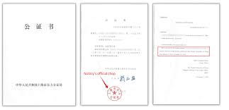 what a china police certificate looks