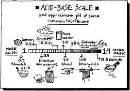 Acids And Bases