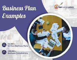 professional business plan exles