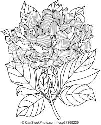 532x699 best coloring pages images on drawings, tattoo. Vector Peony Coloring Book Page For Adults Hand Drawn Artwork Vector Peony Coloring Book Page For Adults Hand Drawn Canstock