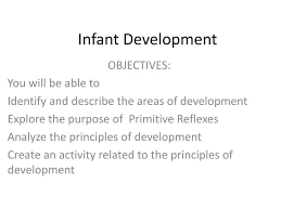 ppt infant development powerpoint
