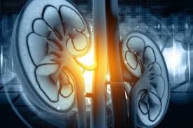 7 Indications Of Kidney Infection You Shouldn't Disregard