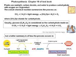 The Light Reactions Of Photosynthesis