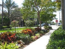 Florida Friendly Landscaping Ifas