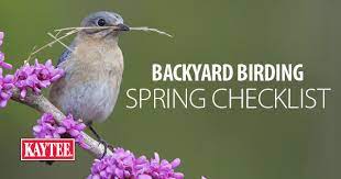 Backyard Birding Spring Checklist Wild