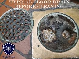 commercial drain foaming service
