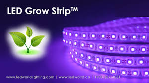 Led Grow Strip For Plant Production Youtube