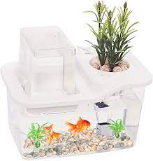 Amazon.com : Aquaponics Fish Tank Mini Indoor Aquarium - Gold Fish Tank  Growing Ecosystem Kit for Aquatic Plants and Fish - Mess Free Planter for  Herbs, Microgreens - 3L Beta Fish Tank gambar png