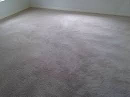 another carpet cleaning job