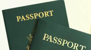 Image result for nigerian passport renewal usa