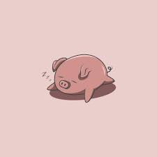 cute lazy pig or sleeping pig cartoon