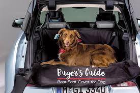 The Best Car Seat Covers For Dogs Top