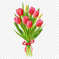 tulips on transpa background png