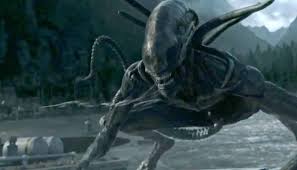 Regisseur ridley scott keert met alien: Alien Covenant May Have Killed The Alien Franchise