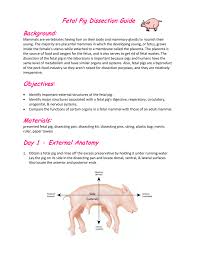 Fetal Pig Dissection Guide Background Objectives Materials