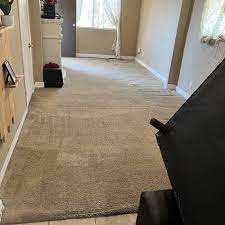 the best 10 carpet cleaning near el