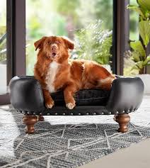 A Guide For Pet Friendly Sofas