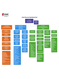 Human Resources Organizational Chart Example Edit Fill